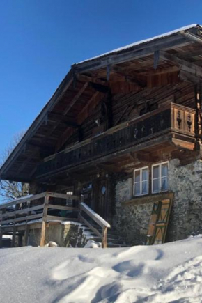 Holiday Home Alte Sahnealm by Interhome Hollersbach Im Pinzgau